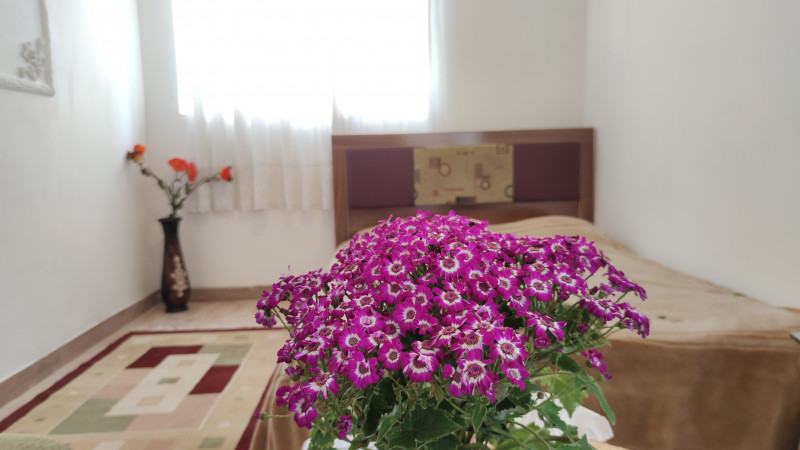 اتاق پذیرایی اتاق پذیرایی