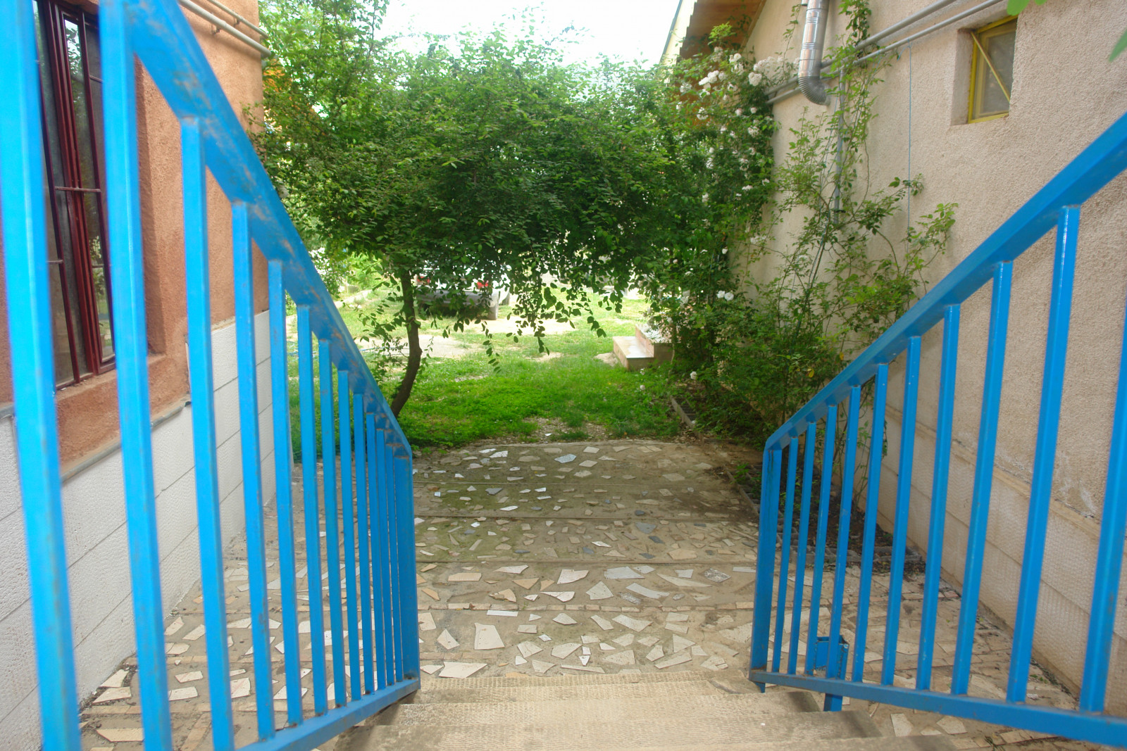 نما از بالای پله