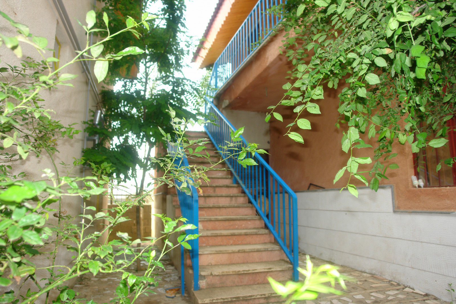 پله های ورودی