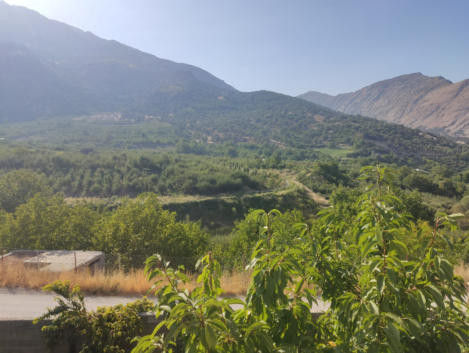 چشم‌انداز ساختمان