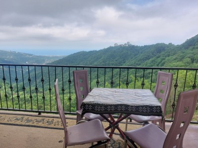 واحد مبله دالخانی با ویو جنگل (تک‌خواب)