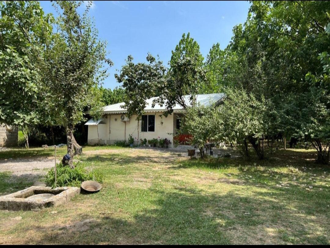 حیاط