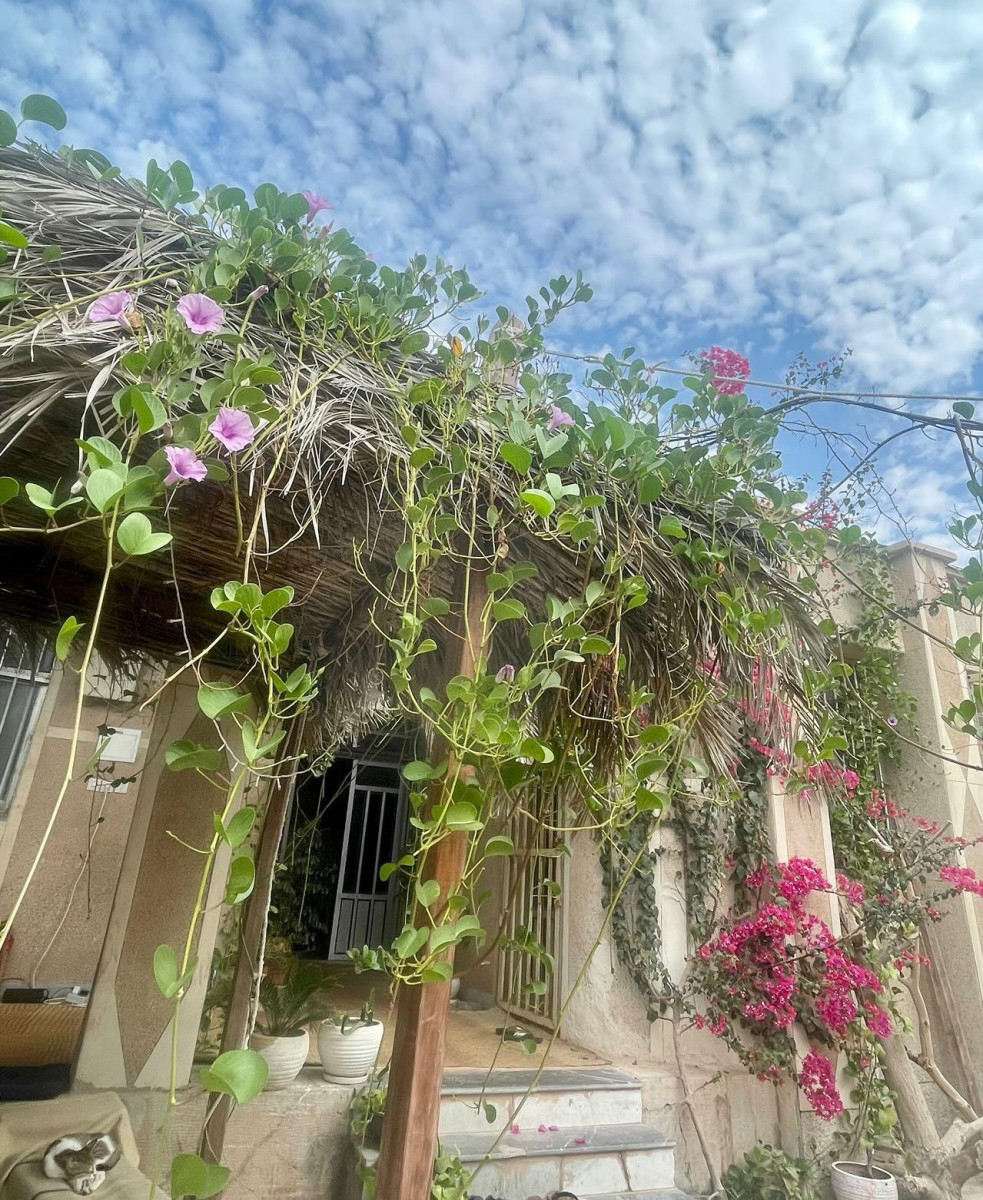 نمای اقامتگاه نمای اقامتگاه