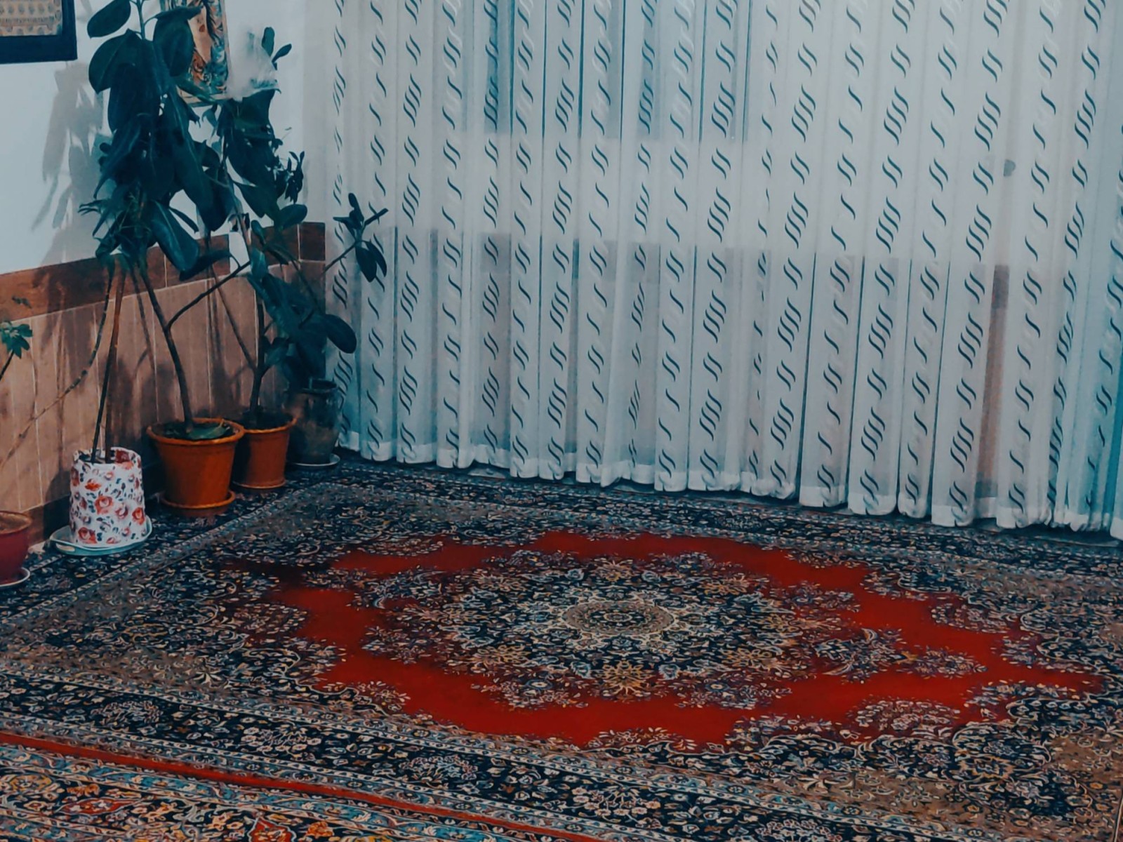 حال