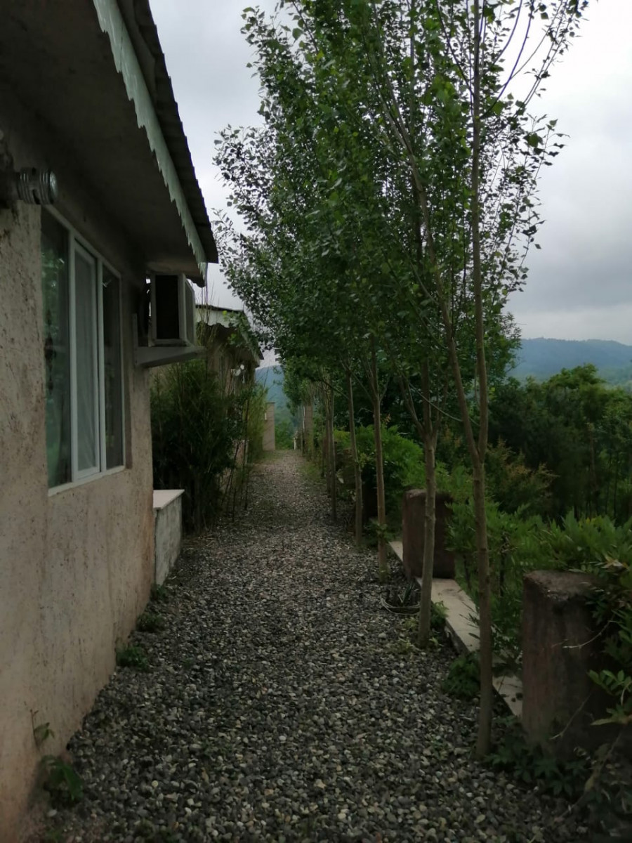 ورودی