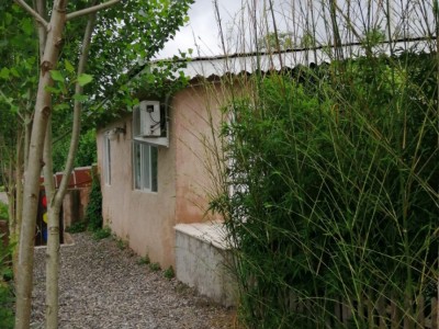 گیلانا حلیمه جان