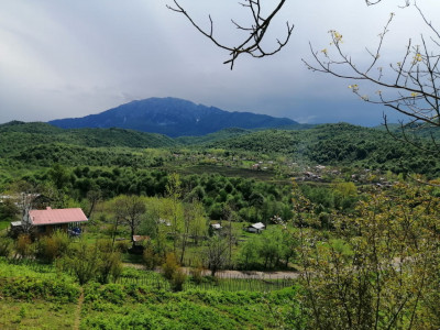 گیلانا حلیمه جان