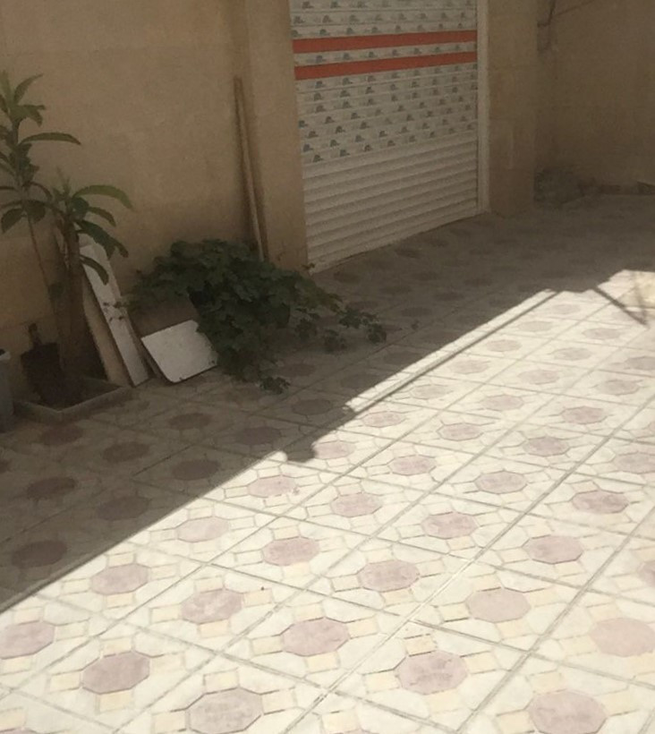 حیاط