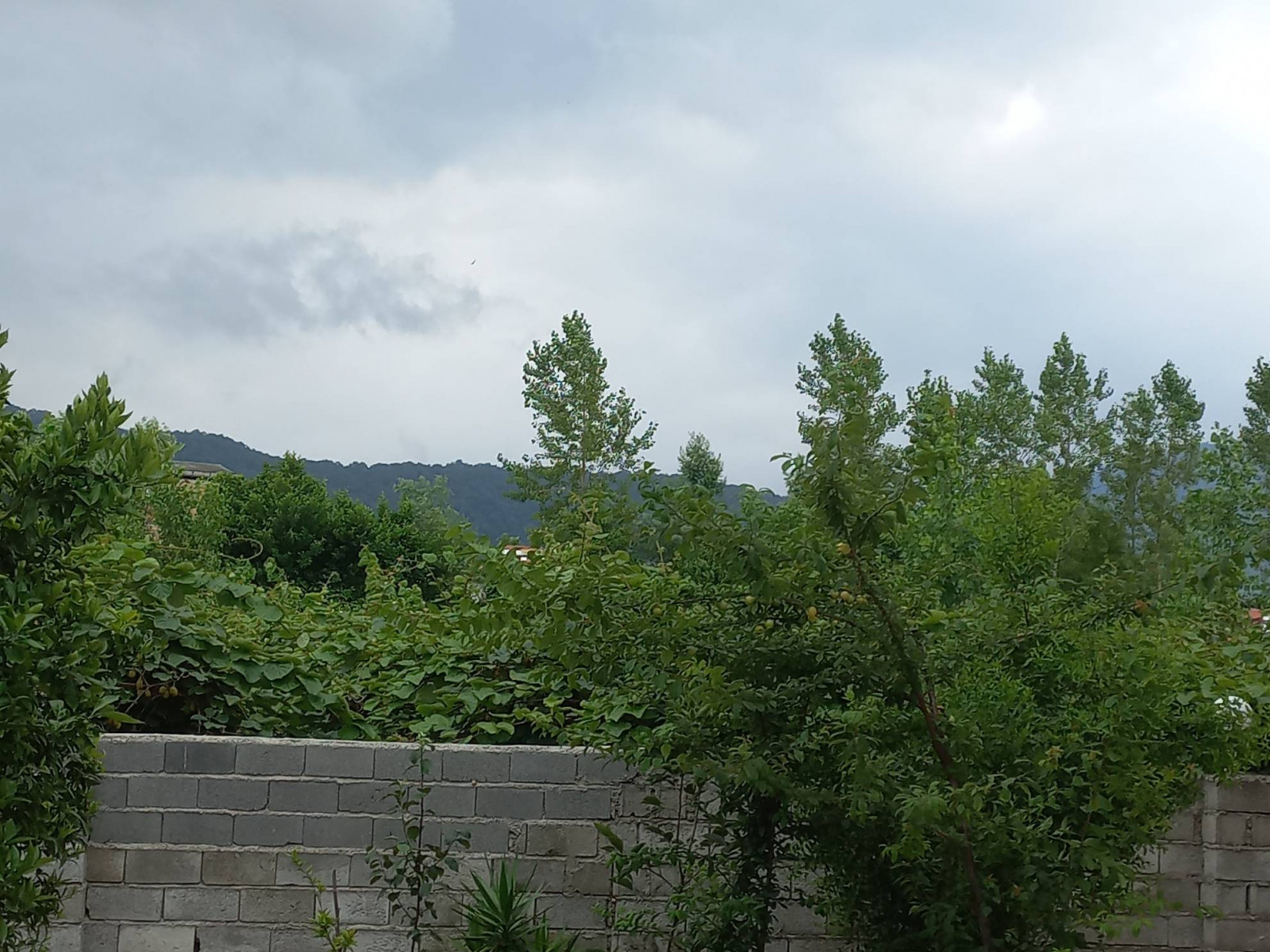 نمای بیرونی ساختمان