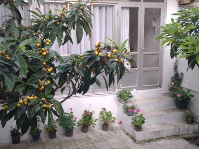 ویلای دربست بهار