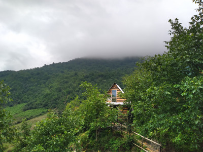 کلبه جنگلی دیزین لاویج