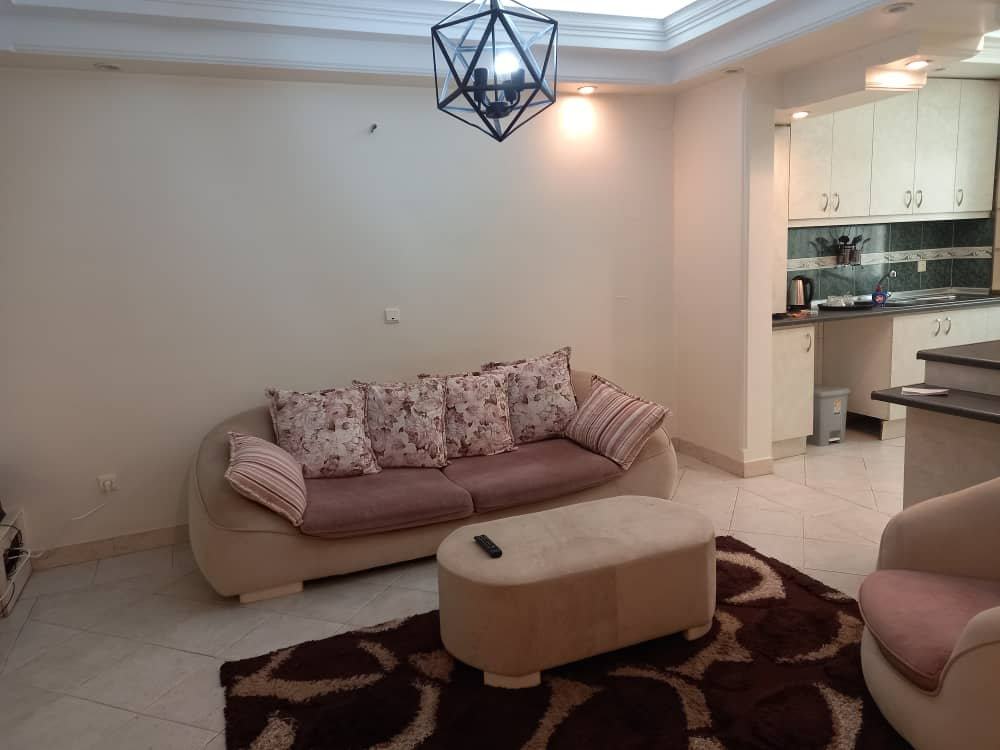 اتاق پذیرایی اتاق پذیرایی