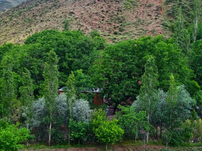 چشم انداز