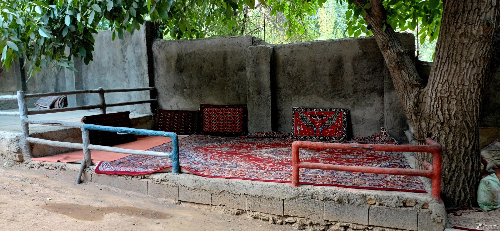 آلاچیق
