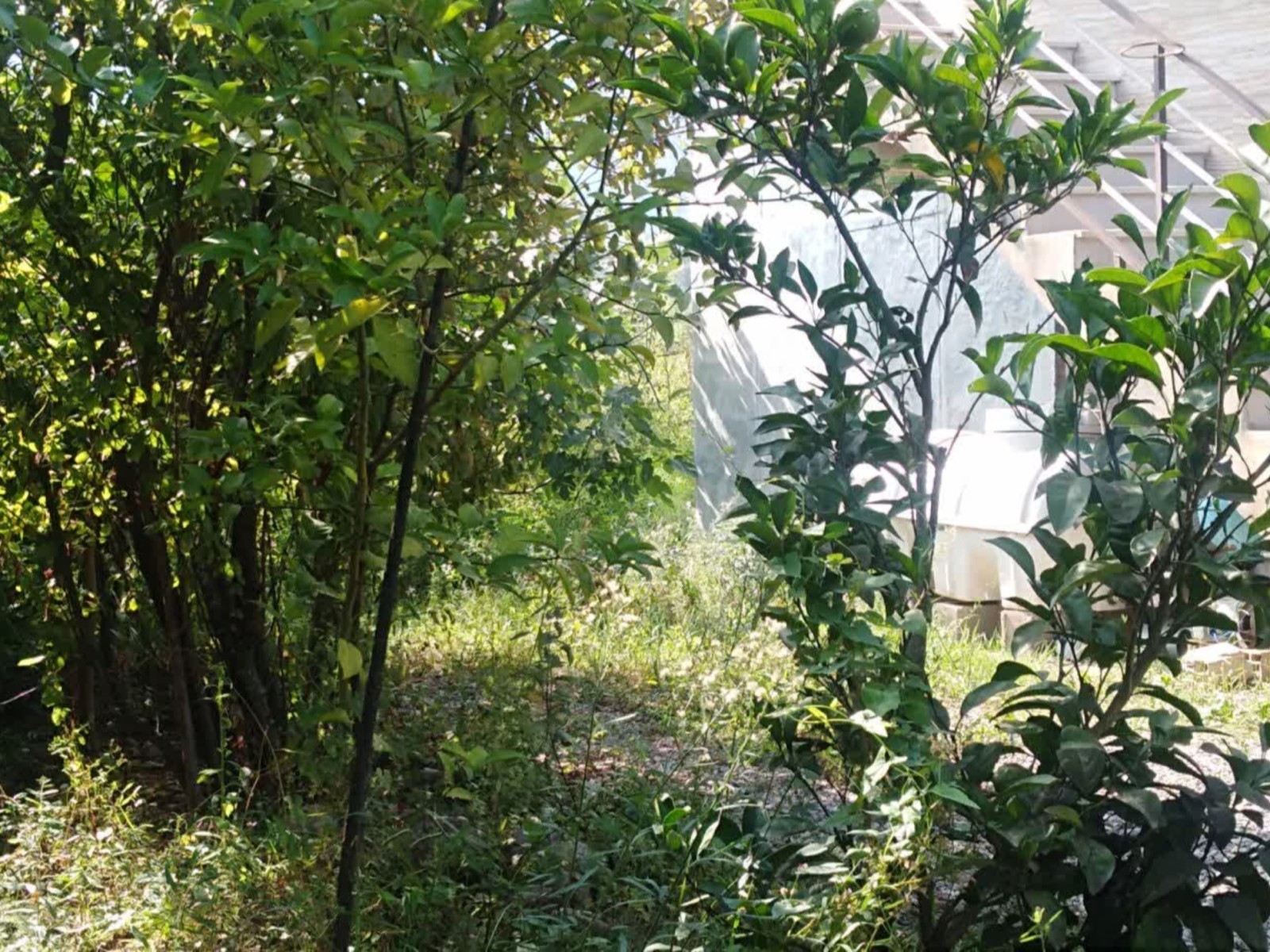 نمای بیرونی ساختمان نمای بیرونی ساختمان