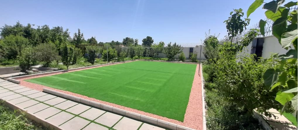 زمین چمن زمین چمن