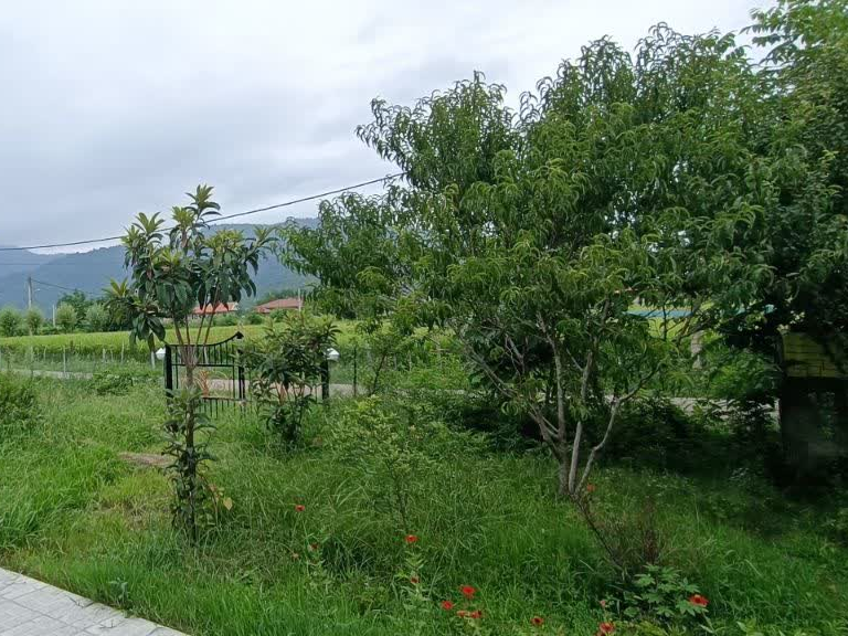 حیاط جلوی اقامتگاه حیاط جلوی اقامتگاه