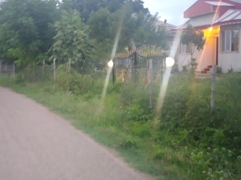 نما دور نما دور