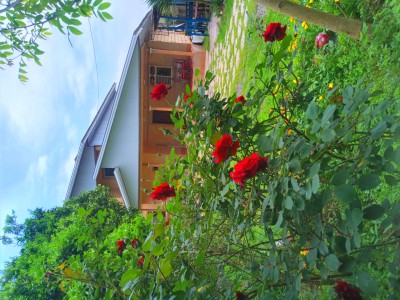 واحد دوخوابه در روستای سرسبز مرکیه واحد دوخوابه در روستای سرسبز مرکیه