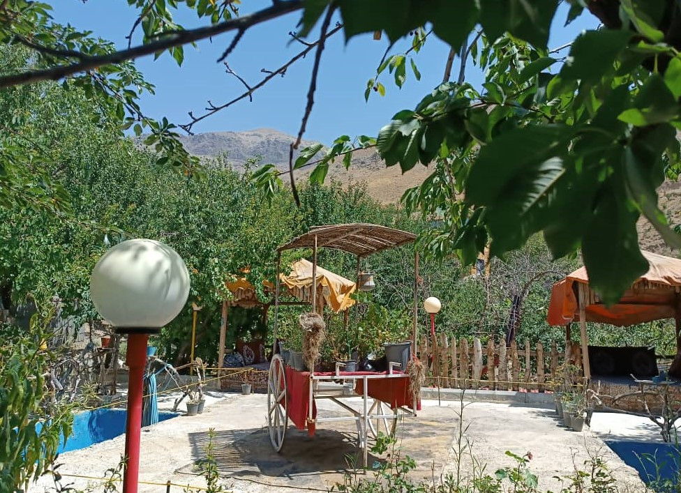 حیاط