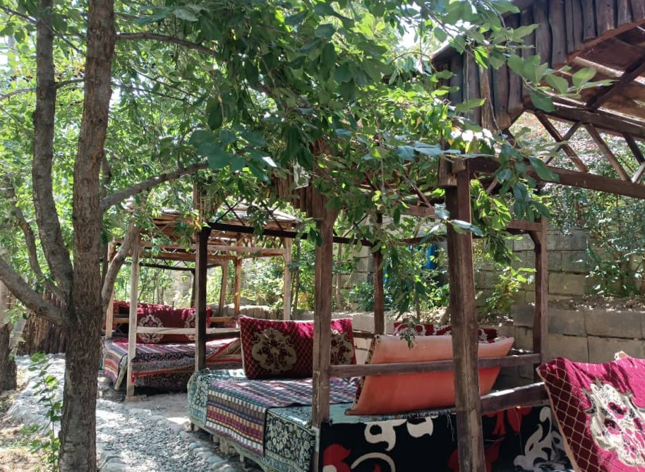 حیاط