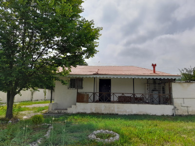 منزل ویلایی تک خواب دارای حیاطی دلباز