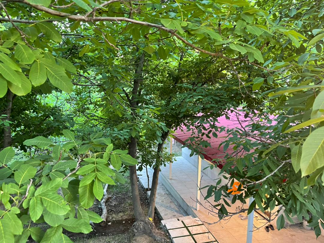 نمای پارینگ نمای پارینگ