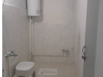 واحد نقلی تک خواب جنگلی