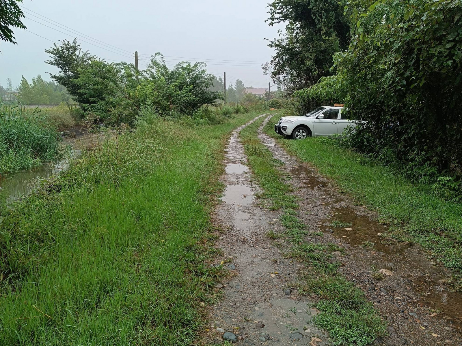 جاده