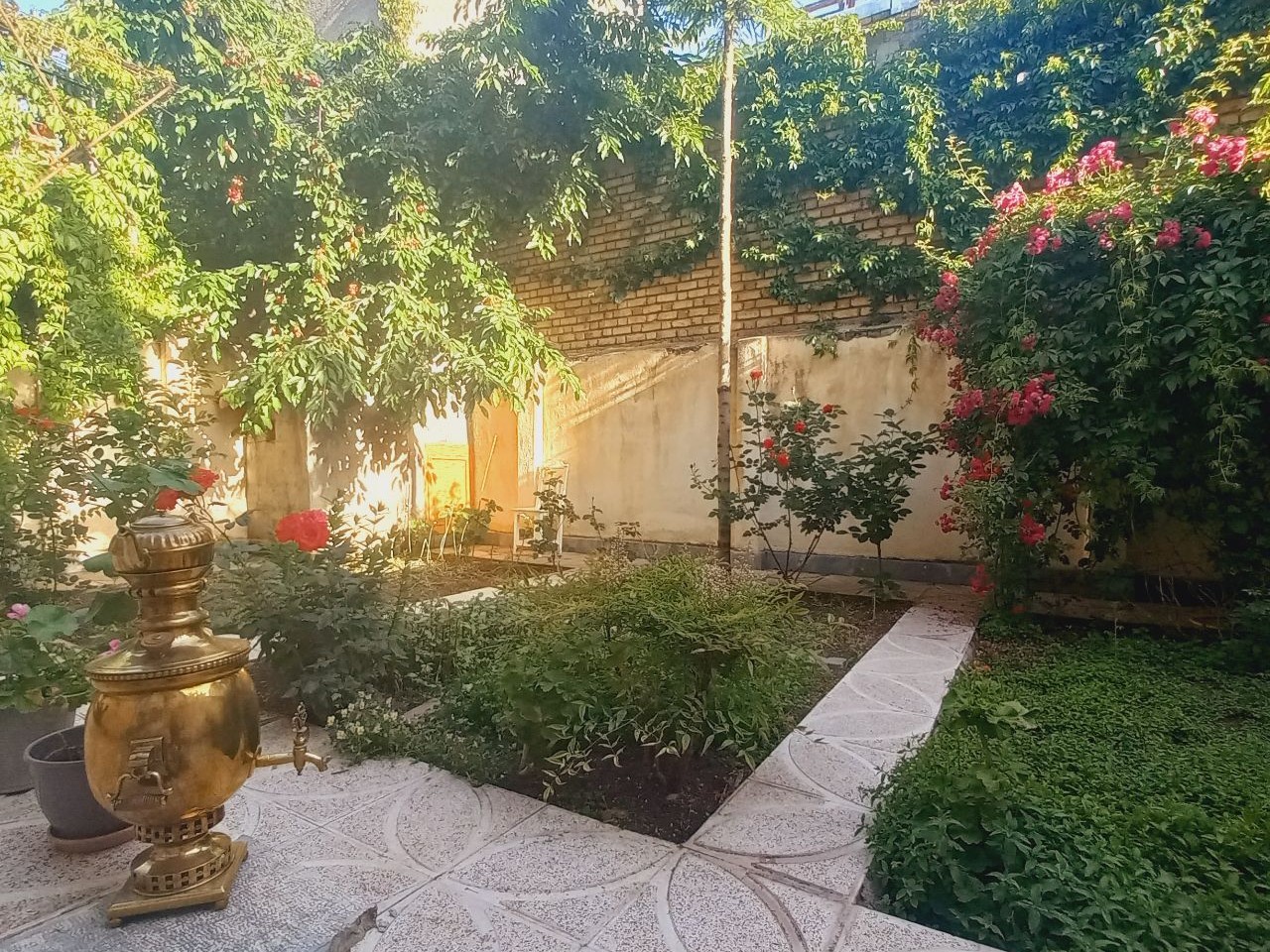 حیاط