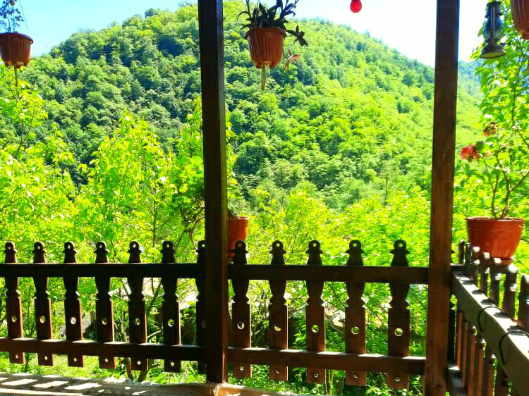 ویو تراس ویو تراس