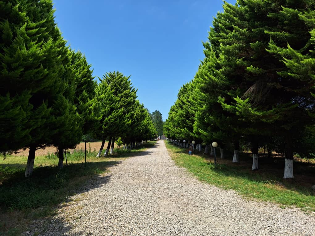 محوطه مجموعه