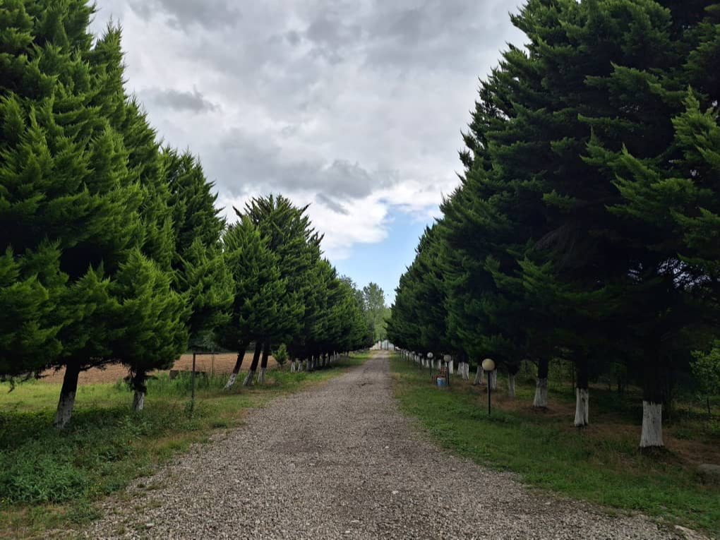 ورودی  مجموعه آویشار