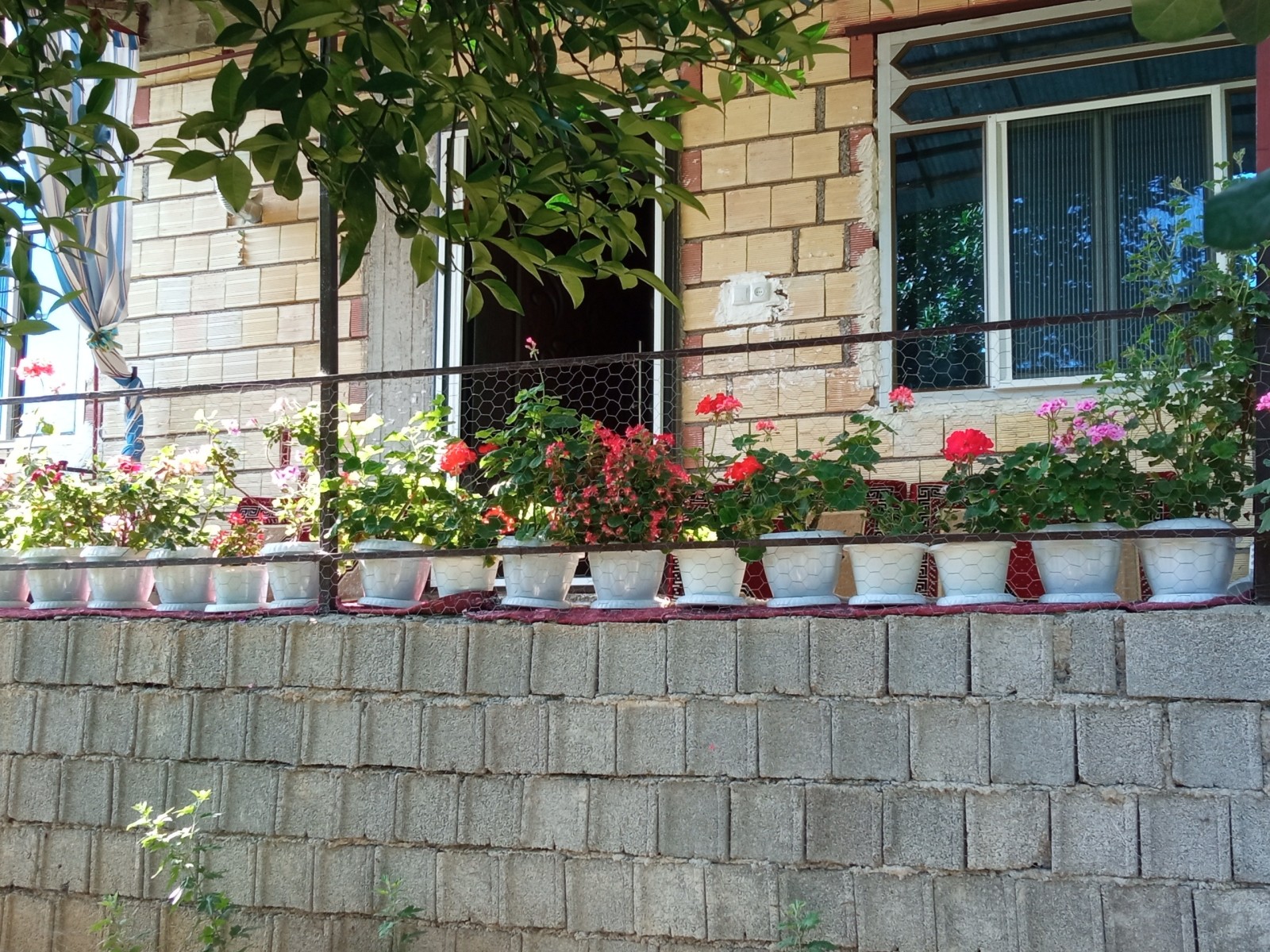 نمای بیرونی ساختمان