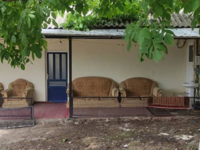سوییت سنتی با ویوی جنگل و رودخانه