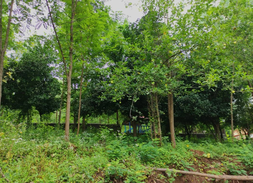 محیط اطراف اقامتگاه محیط اطراف اقامتگاه