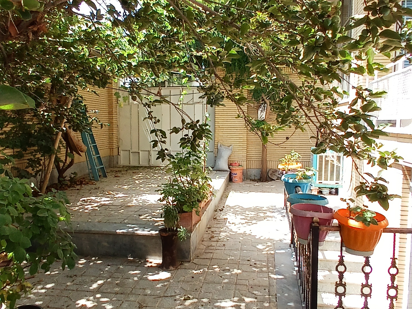 حیاط منزل حیاط منزل