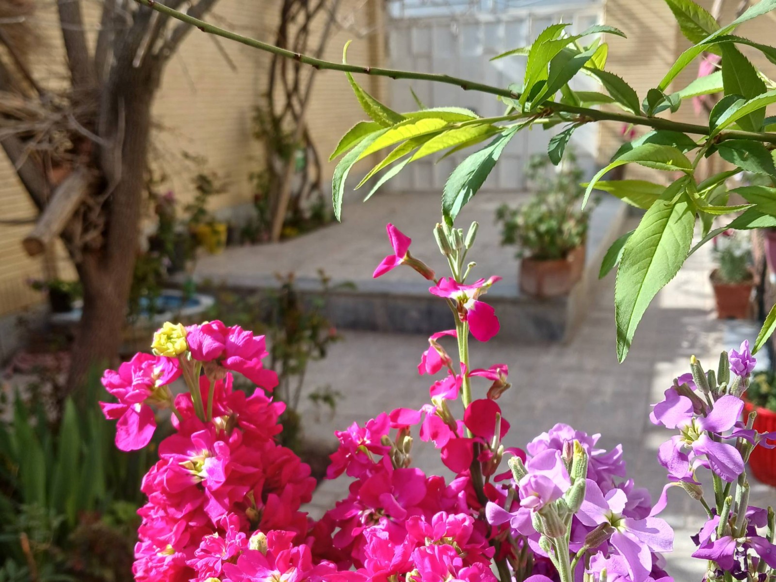 نمای بیرونی ساختمان نمای بیرونی ساختمان