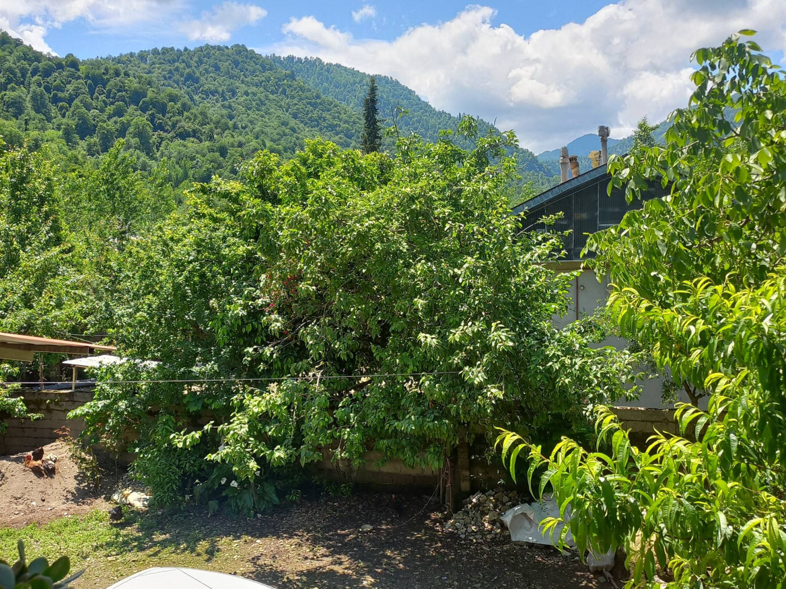 نمای بیرونی ساختمان