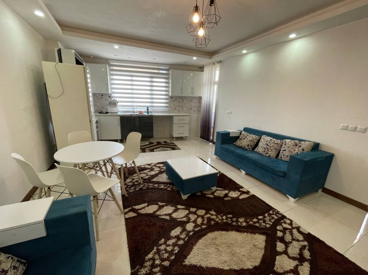 اتاق پذیرایی و آشپزخانه اتاق پذیرایی و آشپزخانه