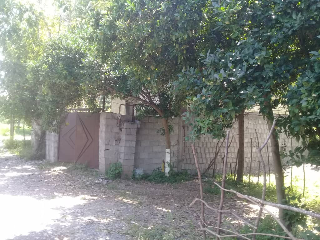 محوطه محوطه