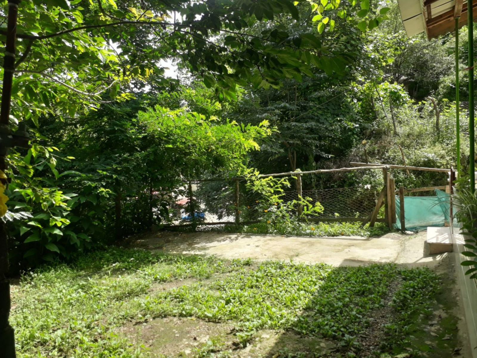 حیاط