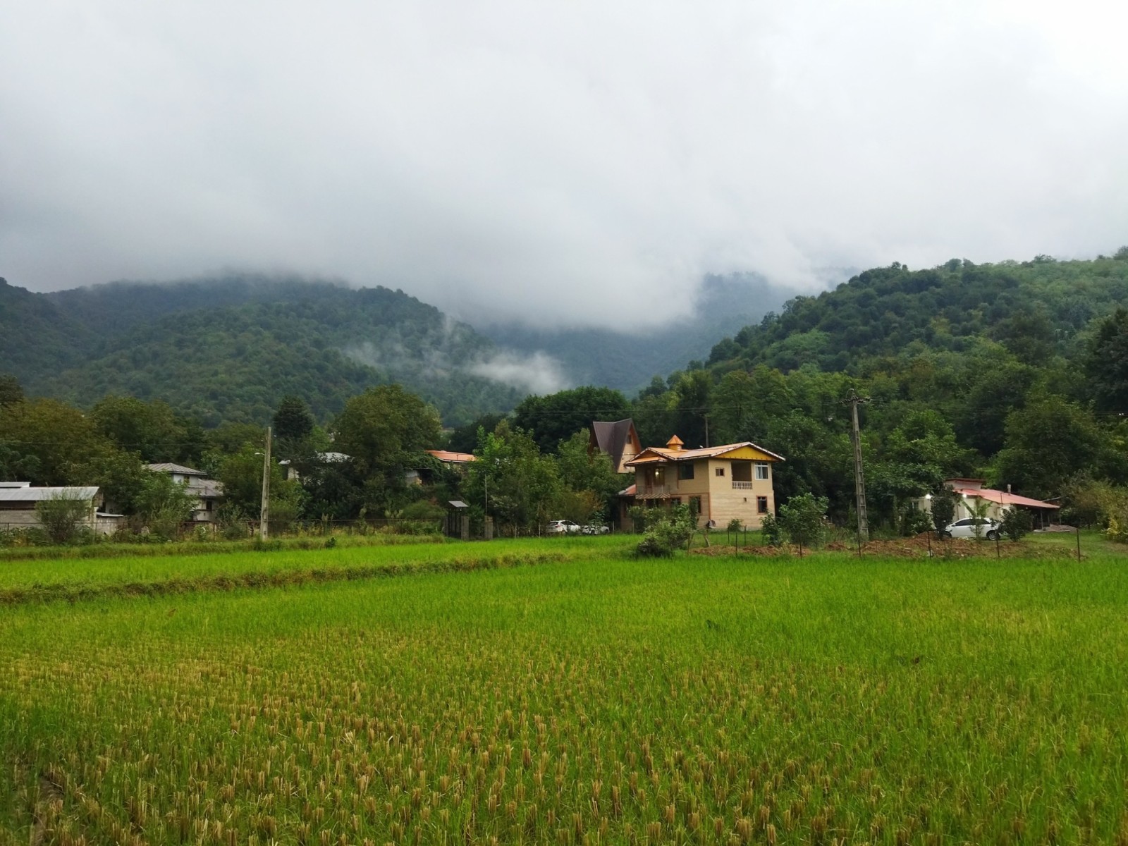 نمای بیرونی ساختمان نمای بیرونی ساختمان