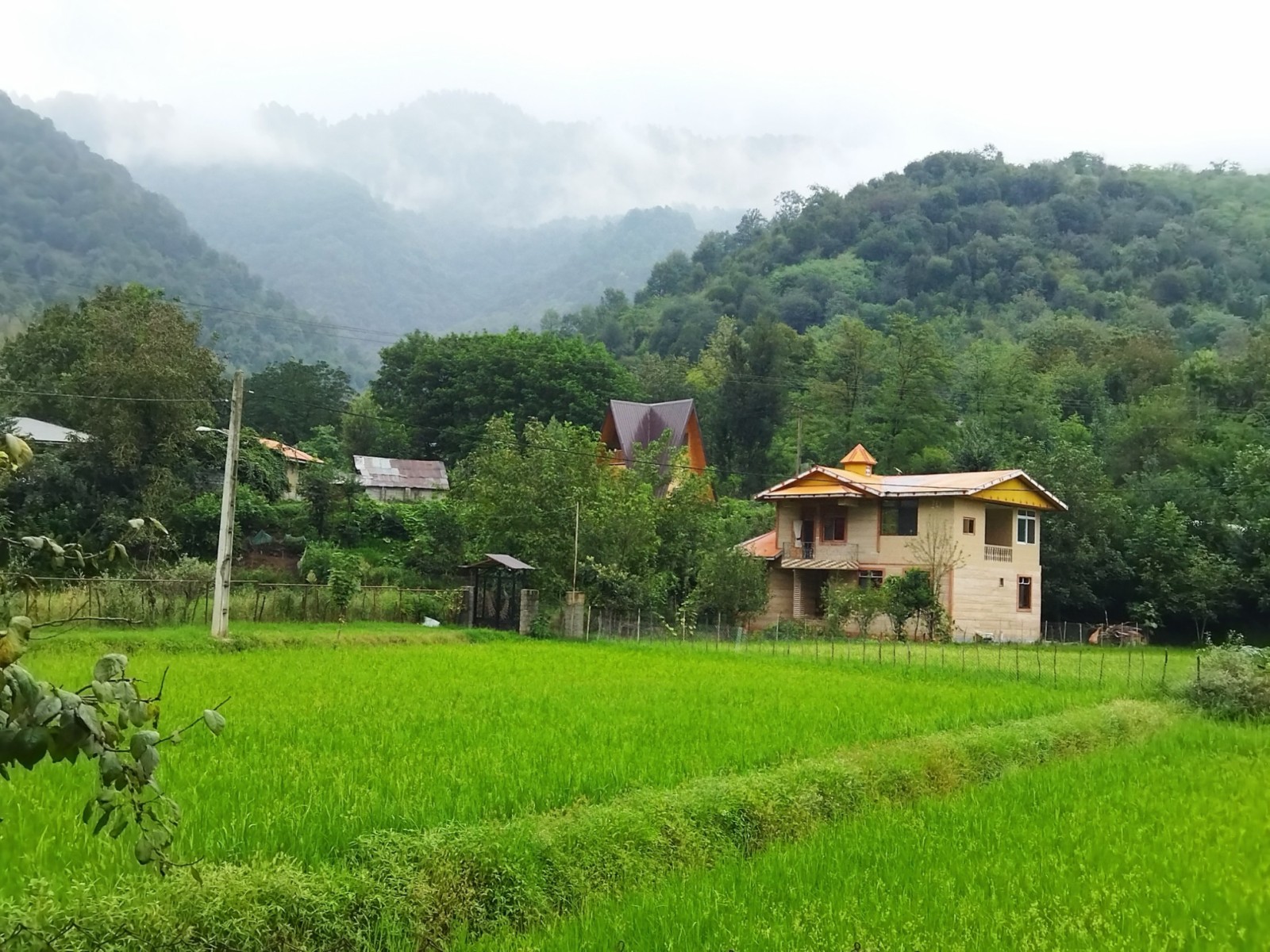 نمای بیرونی ساختمان نمای بیرونی ساختمان