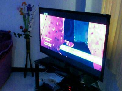 واحد دوخوابه نیلوفر (4) با تمامی امکانات واحد دوخوابه نیلوفر (4) با تمامی امکانات