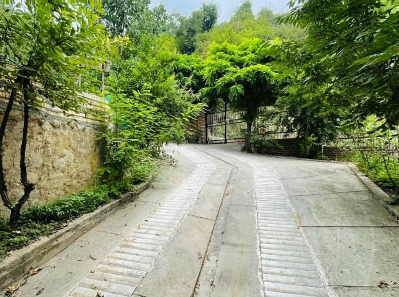 نمای حیاط 1