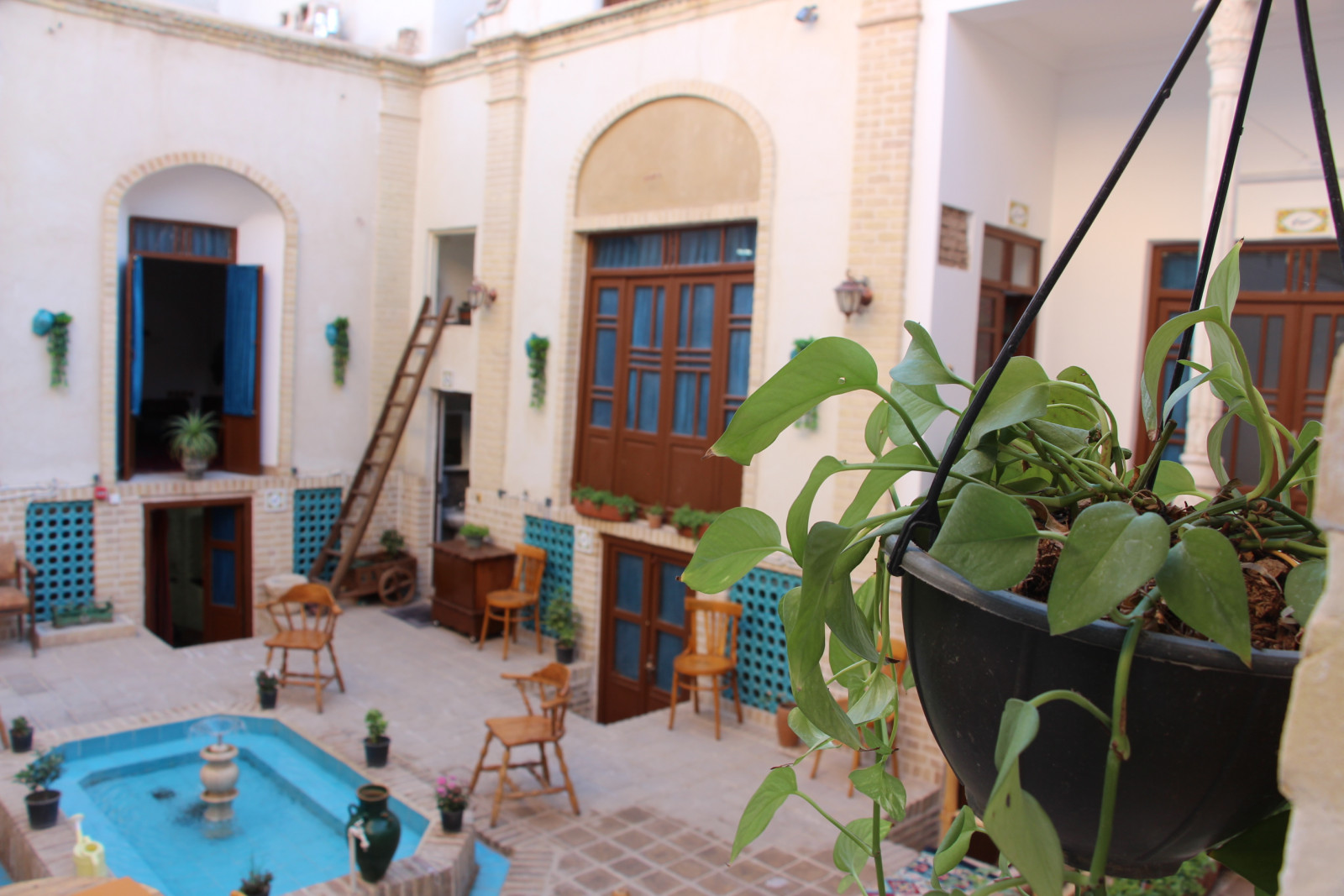 حیاط