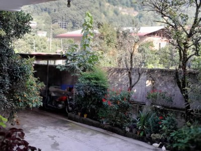 واحد مبله در طبقه همکف با ویو جنگل واحد مبله در طبقه همکف با ویو جنگل