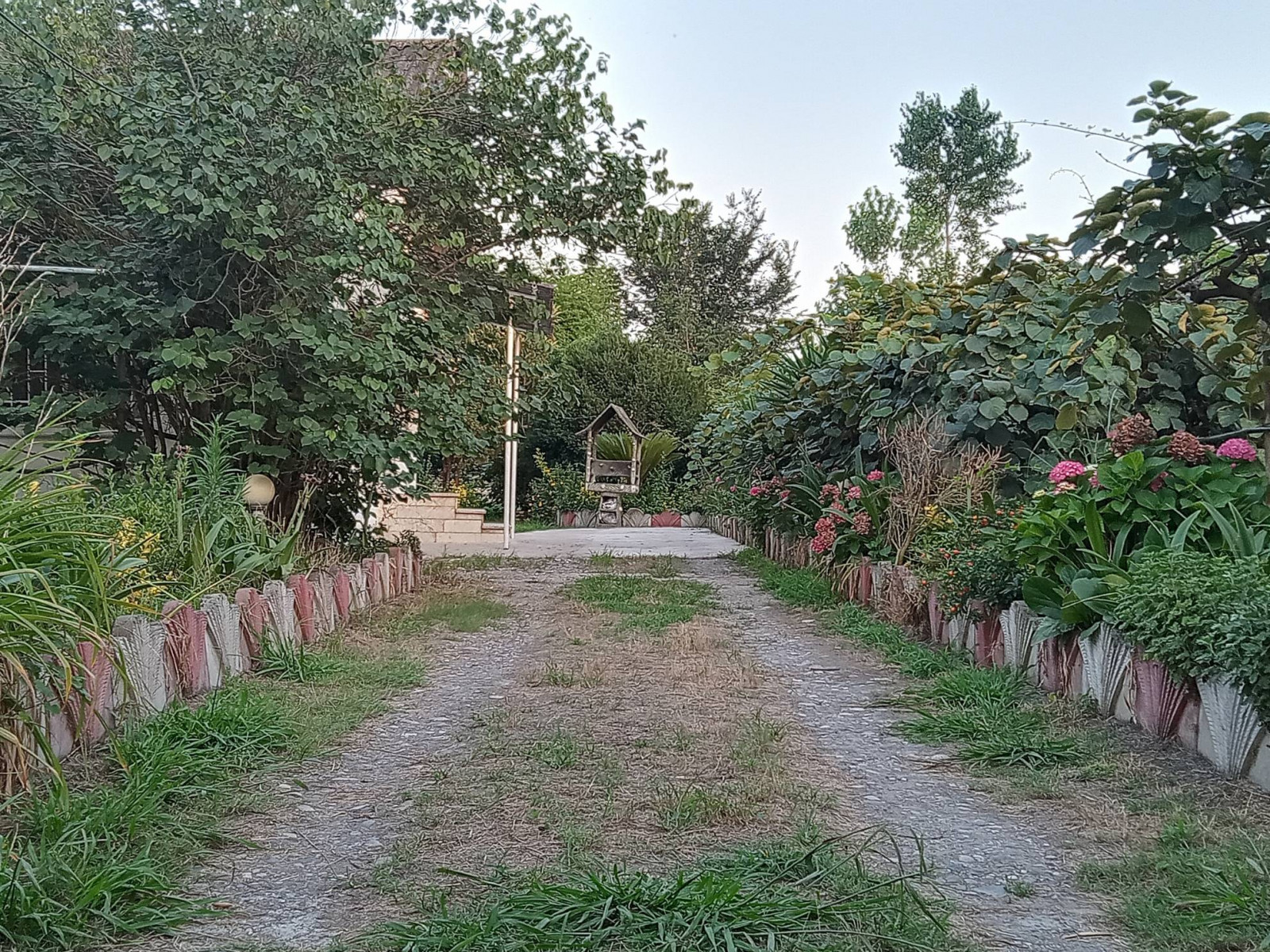 حیاط