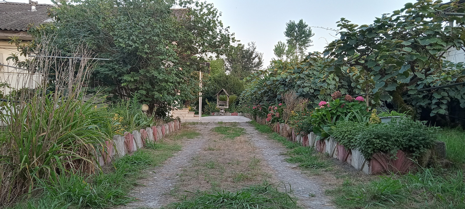 حیاط ویلا